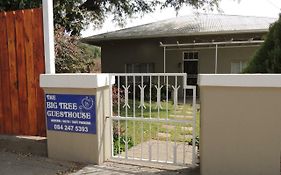The Big Tree Guest House